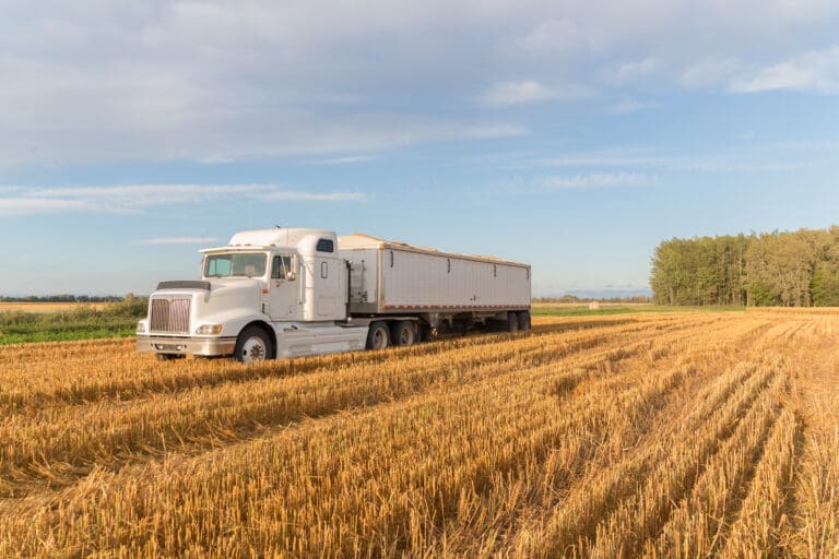 White semi truck parked in harvested wheat field