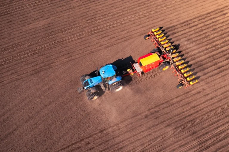 Aerial view blue tractor seeding field rows
